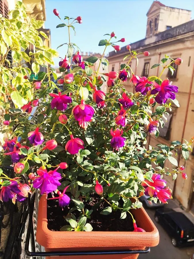Bed & Breakfast Ausa Suites Palermo Italy